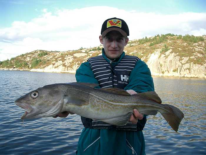 Auch paar schöne Dorsche sind hier eigentlich immer drin.